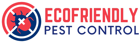 Eco Friendly Pest Control Pune